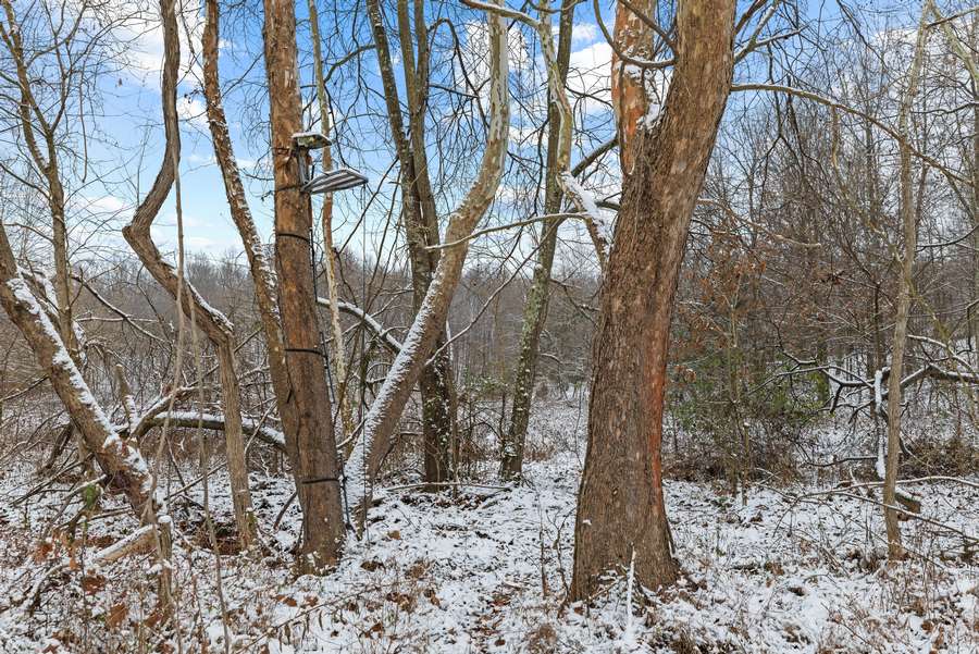 31-0 Waggener Ch-Chalbeate Rd Clay KY 42404_20251203_031.jpg